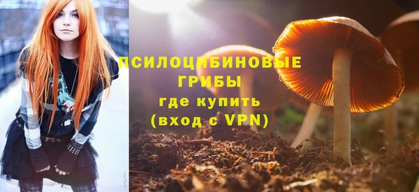 ECSTASY Лиски