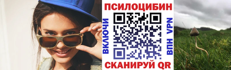 Псилоцибиновые грибы прущие грибы Купить закладки Арсеньев